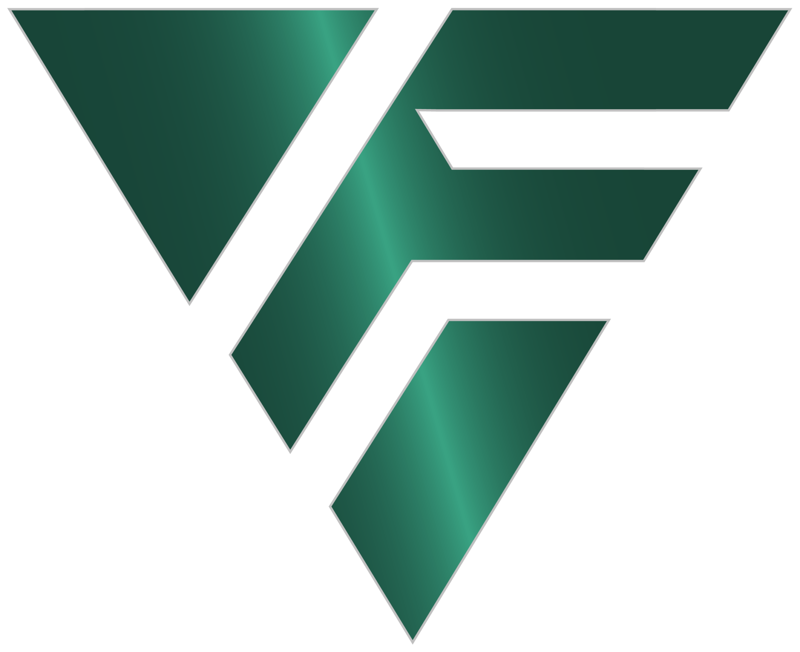 Visual Forge logo